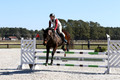 P21C2794