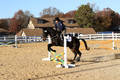 Trina Gomez on Anubis, Green Horse Trials Senior