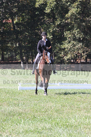 Elaine Groves on Luidonna, Beginner Novice Horse Trials Senior B