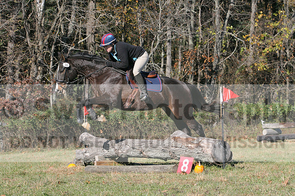 Mimi Combs on Aristocrat, Beginner Novice Horse Trials Senior A