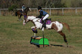 Holly Holbrook on Two Bet Chloe, Beginner Novice Horse Trials Junior A