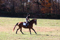 Abby Loving on Royal Filigree, Advanced Green Horse Trials Senior A