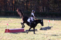 Dorothy Lower on The Wizard Of Oz, Advanced Green Horse Trials Junior A