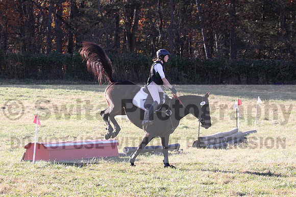 Dorothy Lower on The Wizard Of Oz, Advanced Green Horse Trials Junior A