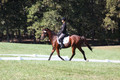 Katie LaValle on High Speed Internet, Beginner Novice Horse Trials Senior A