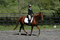 Jenny Rosner on Curious, Advanced Green HT Senior