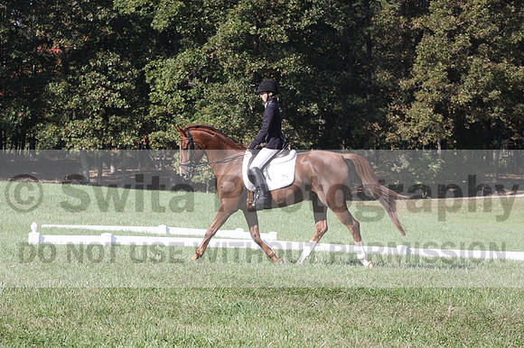 Maggie Proffitt on Wallstreet Melody, Novice Horse Trials Junior