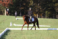Jenny Rosner on Abbey Moon, Training Horse Trials