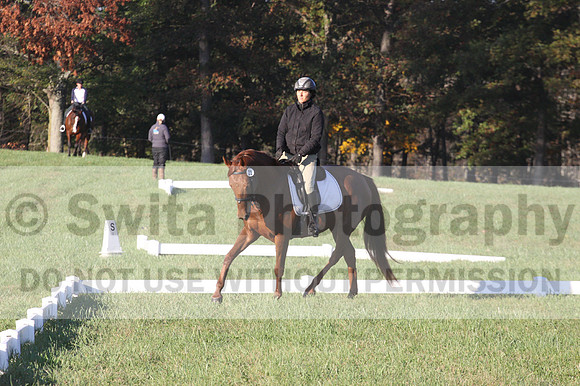 Jenny Rosner on Abbey Moon, Training Horse Trials