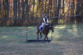 Caroline Morel on Lizzie, Green Horse Trials Junior