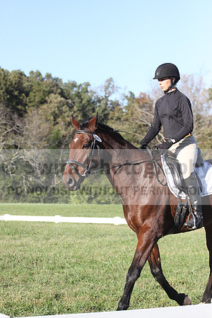 Kelly Linn on Hanover, Green Horse Trials