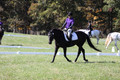 Judy Lancaster on Ride Sallie Ride, Beginner Novice Horse Trials Senior B