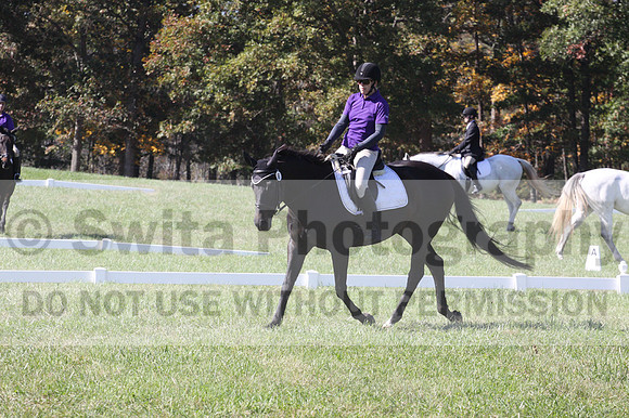 Judy Lancaster on Ride Sallie Ride, Beginner Novice Horse Trials Senior B