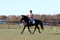 Amy Kryder on Rhianna, Beginner Novice Horse Trials Senior C