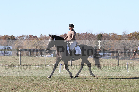 Amy Kryder on Rhianna, Beginner Novice Horse Trials Senior C