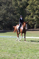 Amy Parsons on Wren Wrouge, Advanced Green Horse Trials A