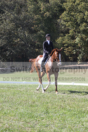 Amy Parsons on Wren Wrouge, Advanced Green Horse Trials A