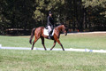 Katie LaValle on High Speed Internet, Beginner Novice Horse Trials Senior A