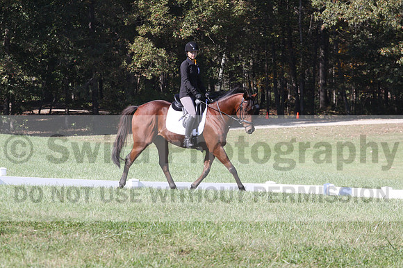 Katie LaValle on High Speed Internet, Beginner Novice Horse Trials Senior A