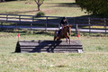 Theresa Thompson on Rated PG, Novice Horse Trials Senior