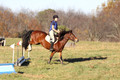 Molli Heisler on Rebel, Green Horse Trials Junior