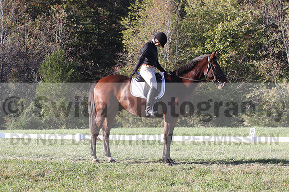 Kelly Linn on Hanover, Green Horse Trials
