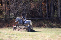 Josie Howard on Shenandoah Sea Lily, Beginner Novice Horse Trials Senior B