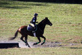 Abby McGowan on Civil Bond, Beginner Novice Horse Trials Junior B