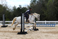 VS1L2295