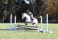 Carolyn Rutledge on Izzy, Advanced Green Horse Trials A
