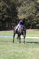 Judy Lancaster on Ride Sallie Ride, Beginner Novice Horse Trials Senior B