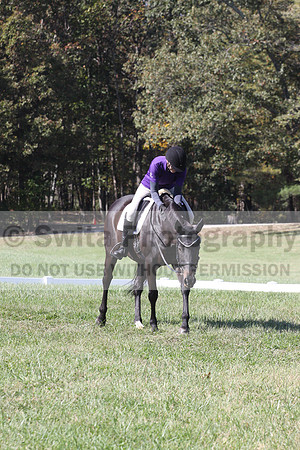 Judy Lancaster on Ride Sallie Ride, Beginner Novice Horse Trials Senior B