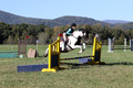 Kaitlyn Schmidt on Dandy, Advanced Green Horse Trials A
