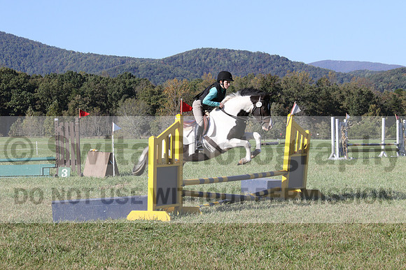 Kaitlyn Schmidt on Dandy, Advanced Green Horse Trials A