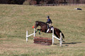 Abby McGowan on Civil Bond, Beginner Novice Horse Trials Junior B