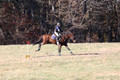 Abby McGowan on Civil Bond, Beginner Novice Horse Trials Junior B