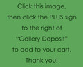 0*0*0* Gallery Deposit *0*0*0