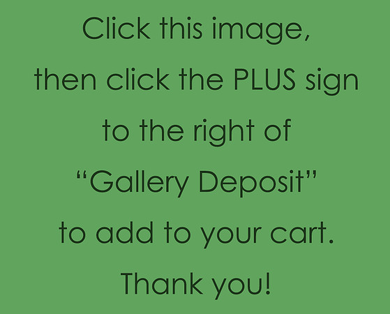 0*0*0* Gallery Deposit *0*0*0