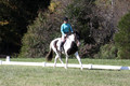 Kaitlyn Schmidt on Dandy, Advanced Green Horse Trials A