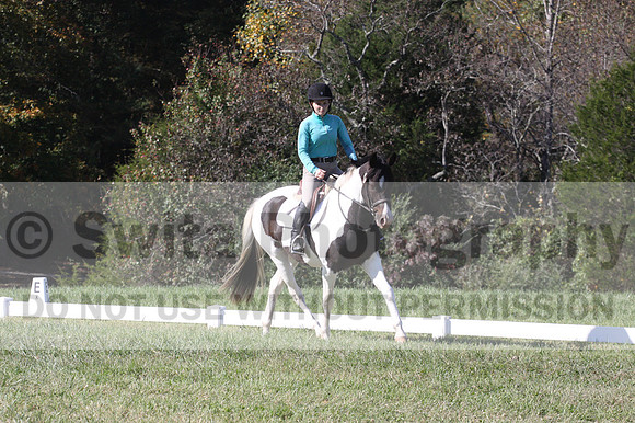 Kaitlyn Schmidt on Dandy, Advanced Green Horse Trials A