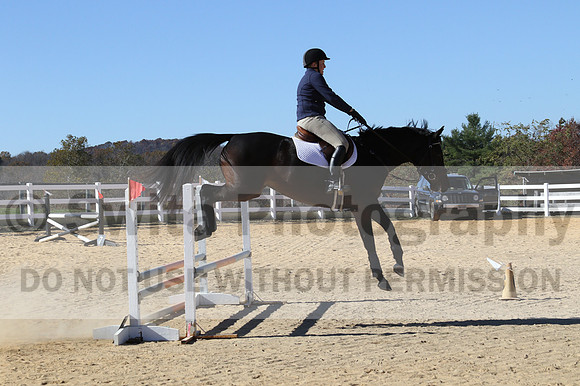 Lauren Seitz on Lyra, Beginner Novice Combined Test