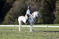 Jeanne Jeffer on Snowball's Chance, Green Horse Trials