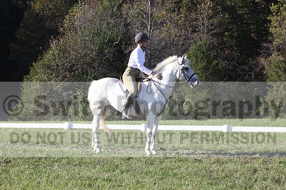 Jeanne Jeffer on Snowball's Chance, Green Horse Trials