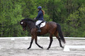 DR5K1257