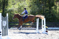 Amy Parsons on Wren Wrouge, Beginner Novice Senior HT B
