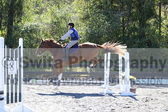 Amy Parsons on Wren Wrouge, Beginner Novice Senior HT B