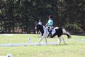 Kaitlyn Schmidt on Dandy, Advanced Green Horse Trials A