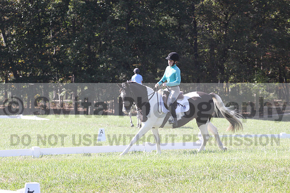 Kaitlyn Schmidt on Dandy, Advanced Green Horse Trials A