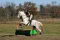 Tori Nuckols on Grey Dragon, Beginner Novice Horse Trials Senior A