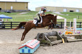 EX7C2977